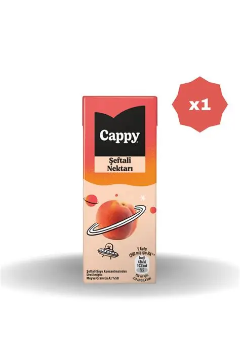 Cappy Şeftali Meyve Suyu